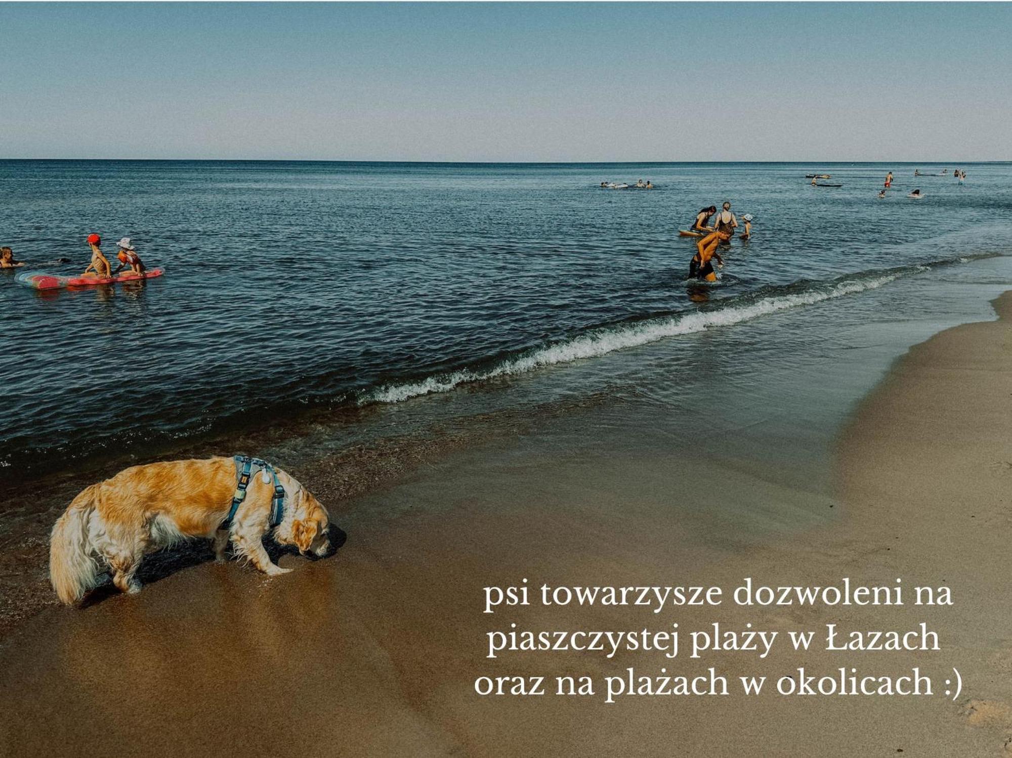 Boho Przystan Łazy Exterior foto