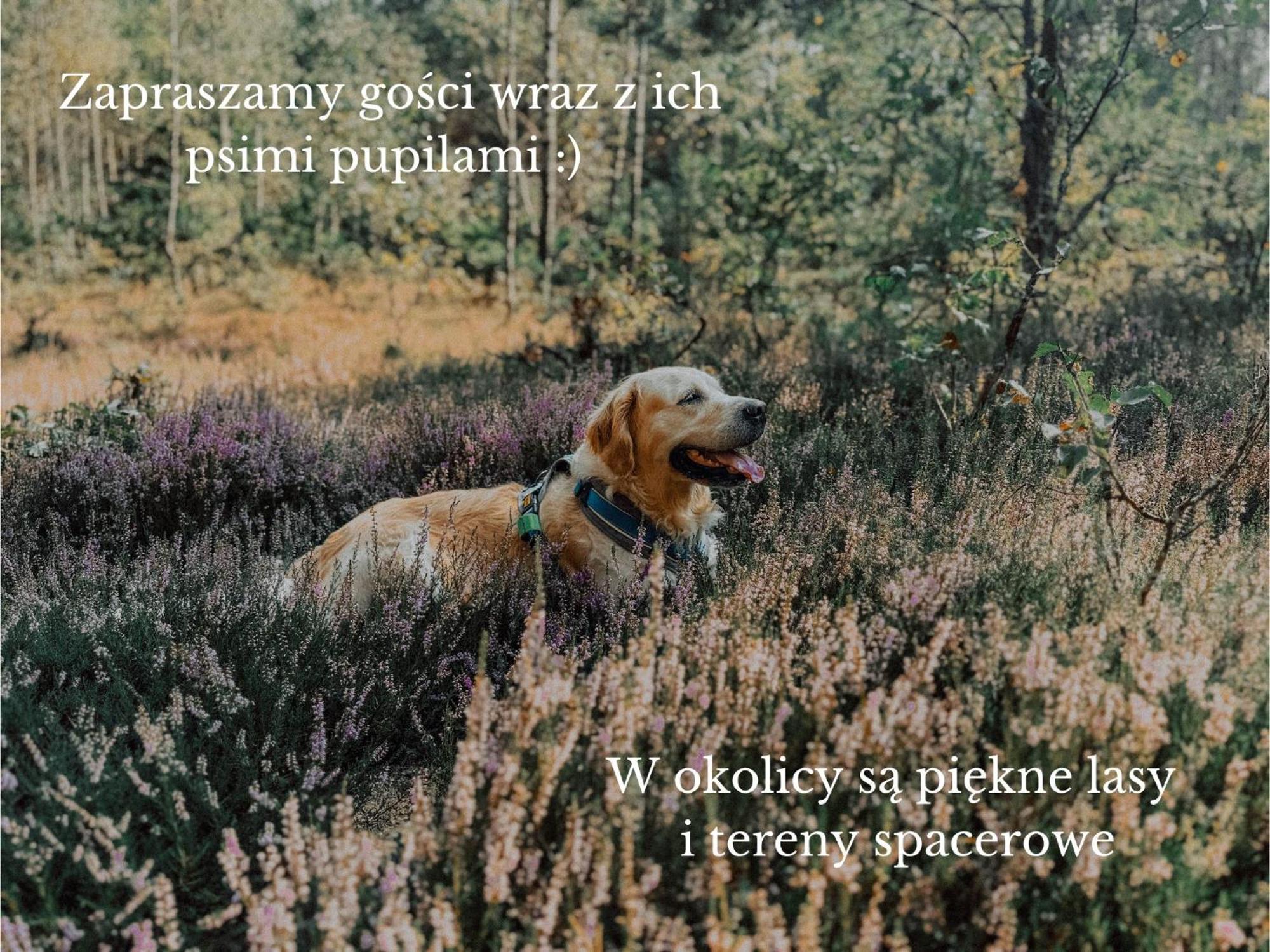 Boho Przystan Łazy Exterior foto