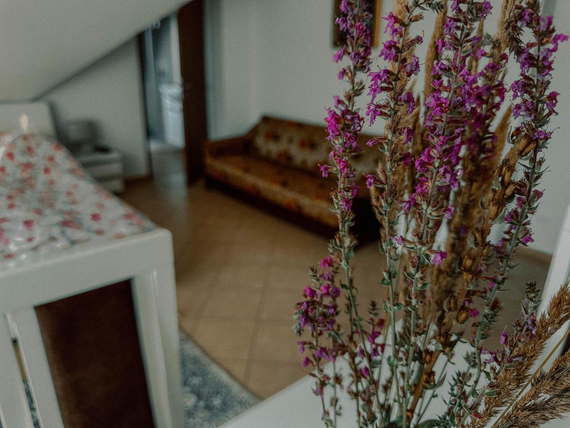 Boho Przystan Łazy Exterior foto